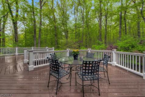 30 Tower Hill Road Mountain Lakes NJ 07046