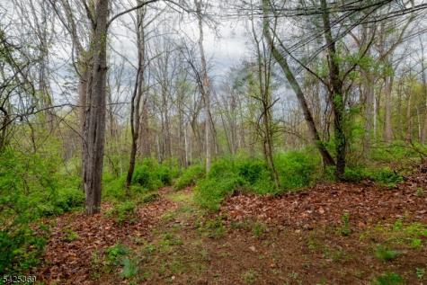 11 Fox Run Road Glen Gardner NJ 08826