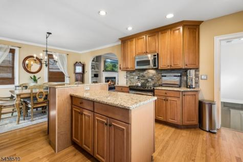 12 Remer Avenue Springfield NJ 07081