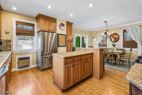 12 Remer Avenue Springfield NJ 07081