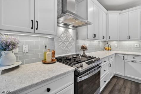 15 Sweney Court Hillsborough NJ 08844