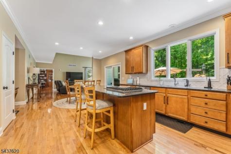 12 Wyckoff Road Bethlehem NJ 08827