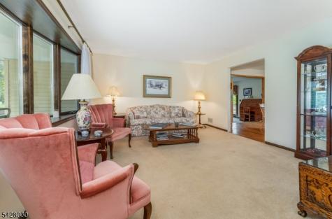 2 Michael Lane East Amwell NJ 08551