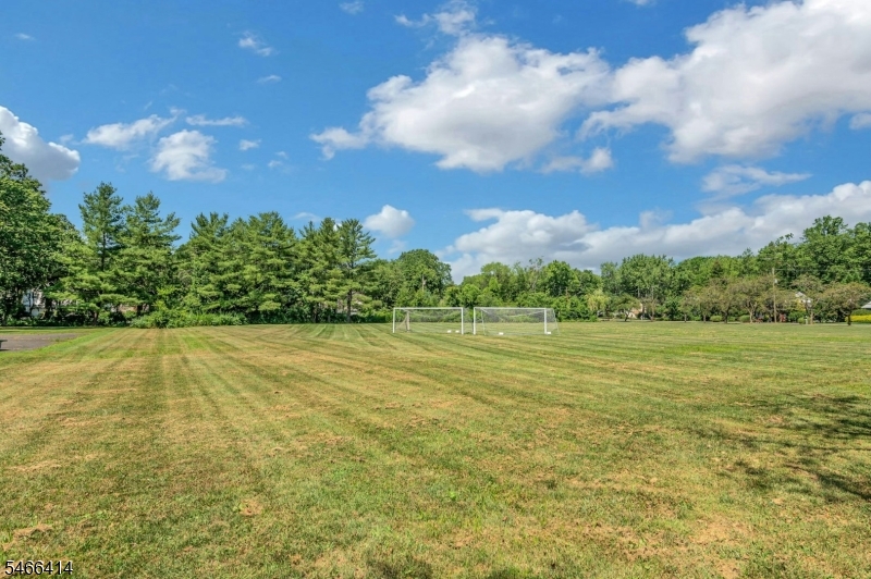 14 Wedgewood Lane Morris NJ 07960