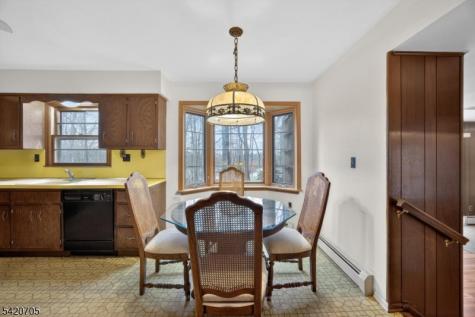 43 Old Mill Drive Denville NJ 07834