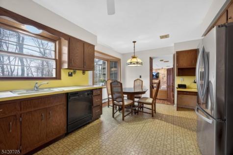 43 Old Mill Drive Denville NJ 07834