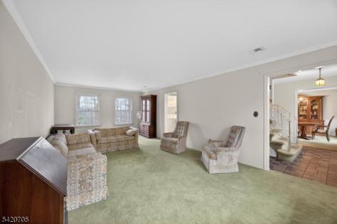 43 Old Mill Drive Denville NJ 07834