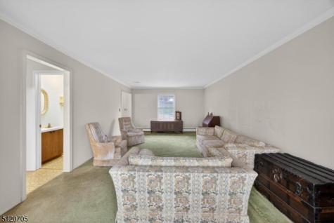 43 Old Mill Drive Denville NJ 07834