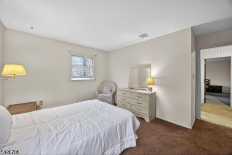 43 Old Mill Drive Denville NJ 07834