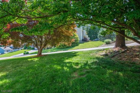 1 Tulip Lane Randolph NJ 07869