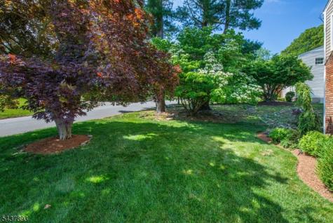1 Tulip Lane Randolph NJ 07869