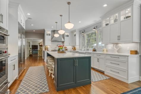 14 Brookrace Drive Mendham NJ 07945