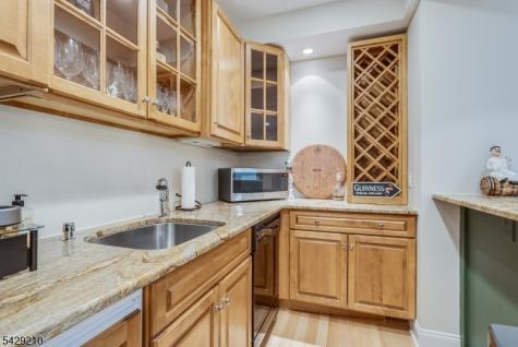 14 Brookrace Drive Mendham NJ 07945