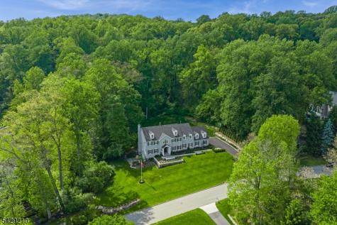 14 Brookrace Drive Mendham NJ 07945