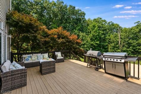 10 Pasha Court Rockaway NJ 07435