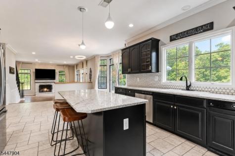 10 Pasha Court Rockaway NJ 07435