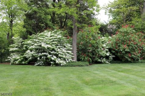 87 High Ridge Road Montgomery NJ 08558