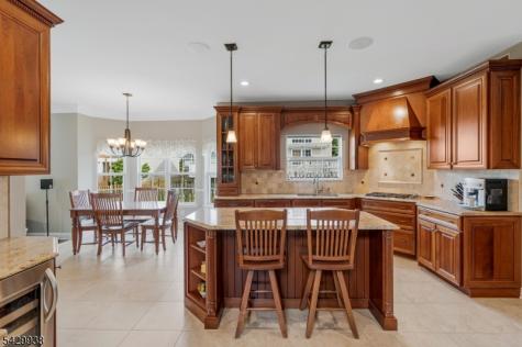 6 Sally Court Bridgewater NJ 08807