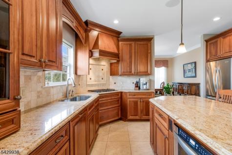 6 Sally Court Bridgewater NJ 08807