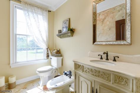 9 Van Fleet Road Readington NJ 08853