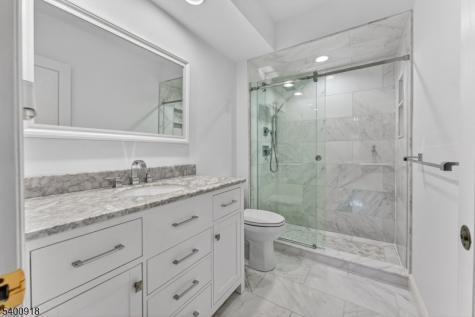 54 Hamilton Drive North Caldwell NJ 07006
