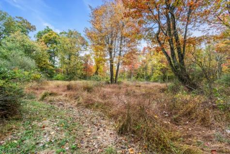209 Sassafras Lane Lebanon NJ 08826