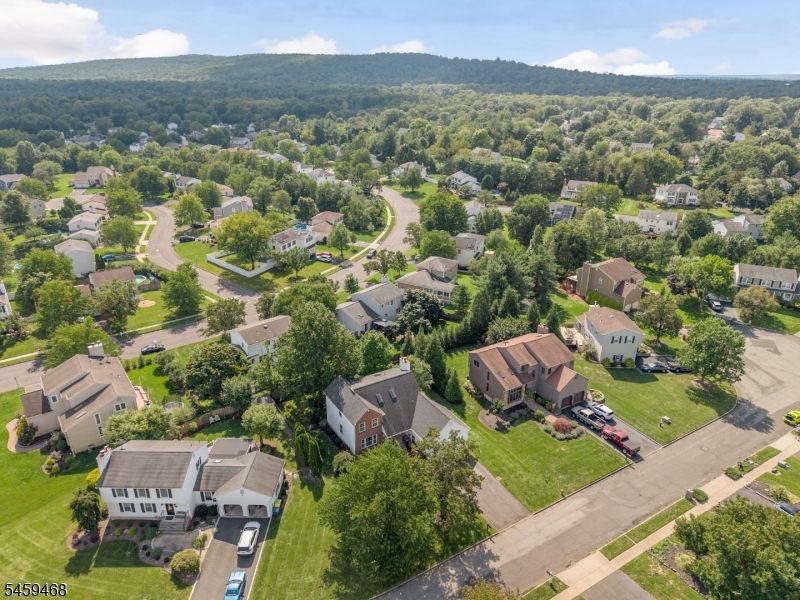 806 Ten Eyck Court Hillsborough NJ 08844