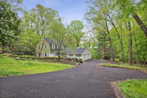 14 Long Ridge Road Parsippany-troy Hills NJ 07869