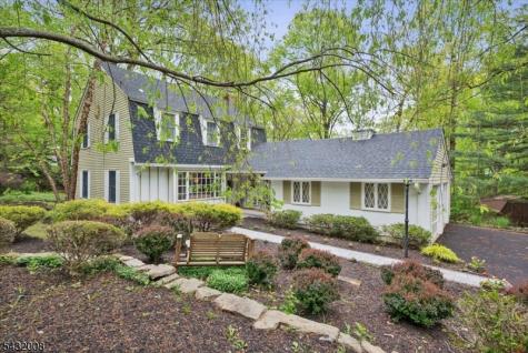 14 Long Ridge Road Parsippany-troy Hills NJ 07869