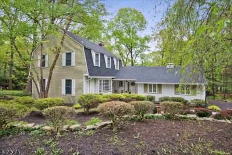 14 Long Ridge Road Parsippany-troy Hills NJ 07869