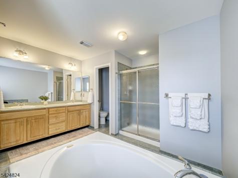 10 Jockey Lane Raritan NJ 08822