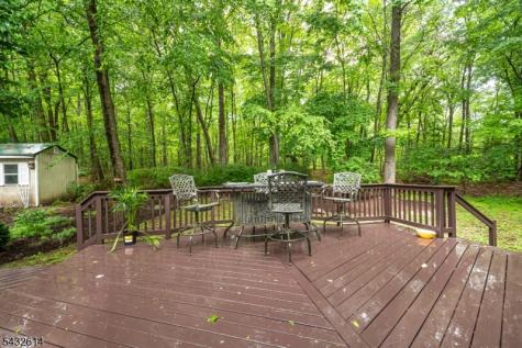 15 Gary Court Mount Olive NJ 07836