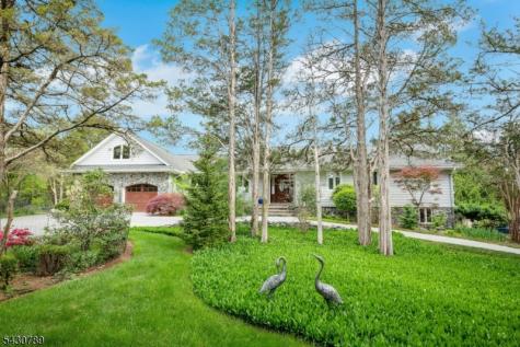 35 Ski Hill Drive Bedminster NJ 07921