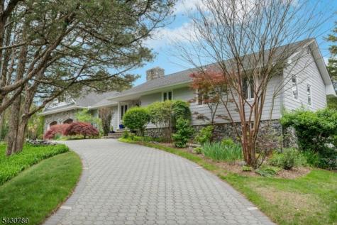 35 Ski Hill Drive Bedminster NJ 07921