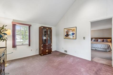 106 Salter Street Springfield NJ 07081