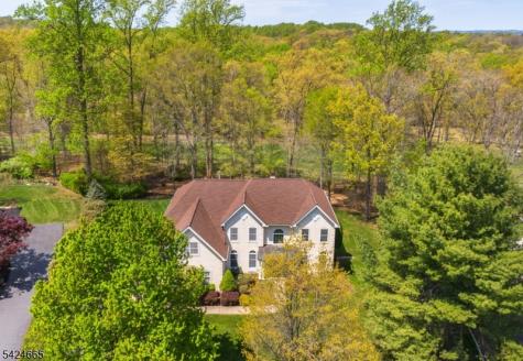 32 Independence Drive Bernards NJ 07920