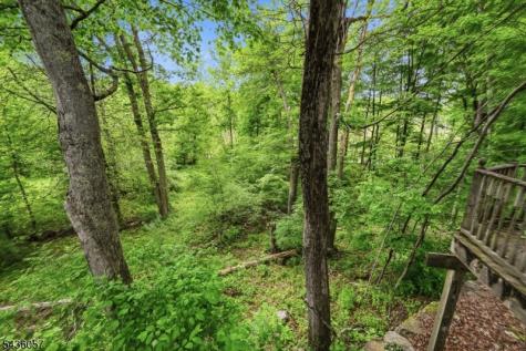 4 Meadow Oak Drive Frelinghuysen NJ 07825