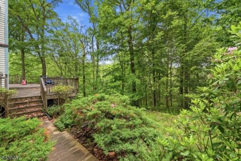 4 Meadow Oak Drive Frelinghuysen NJ 07825