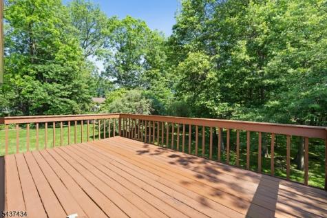 244 Malapardis Road Hanover NJ 07927
