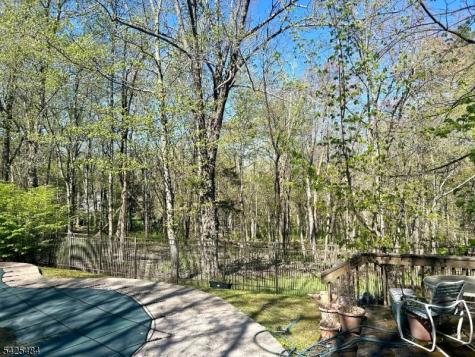 60 Meadowlark Drive Watchung NJ 07069