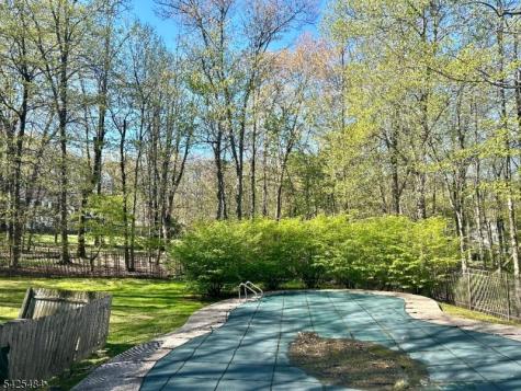 60 Meadowlark Drive Watchung NJ 07069