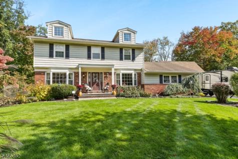 7 Lucille Drive Parsippany-troy Hills NJ 07054