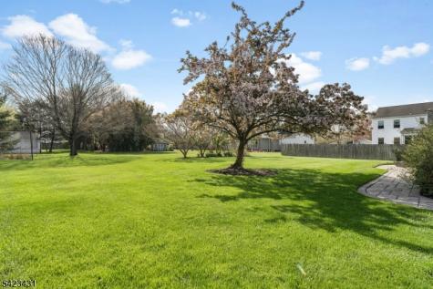 19 Daniel Drive Hillsborough NJ 08844