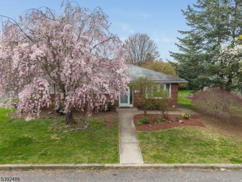 904 Sampson Avenue Alpha NJ 08865