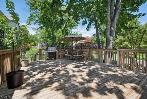 336 Vanderveer Road Bridgewater NJ 08807
