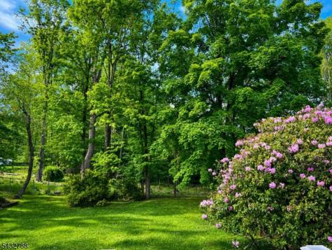 9 Wooded Hill Lane Randolph NJ 07869