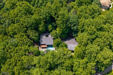 5 Apgar Way Tewksbury NJ 08833