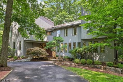 28 Tammy Hill Trail Randolph NJ 07869