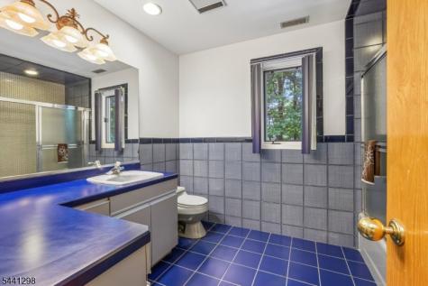28 Tammy Hill Trail Randolph NJ 07869
