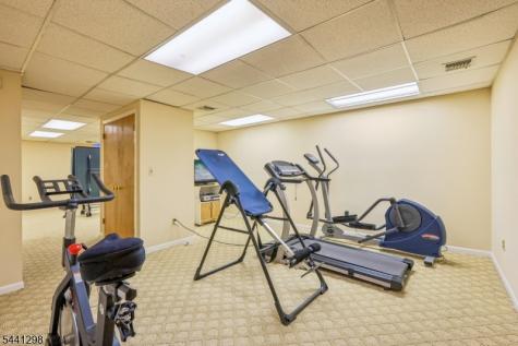 28 Tammy Hill Trail Randolph NJ 07869